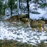 Santa Fe National Forest Field Tract Campground