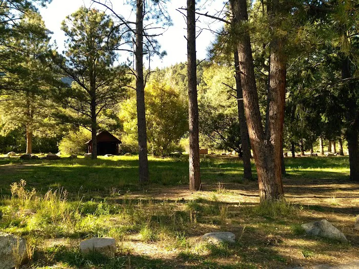 Santa Fe National Forest Field Tract Campground 5