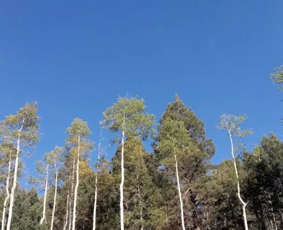 Big Tesuque Campground