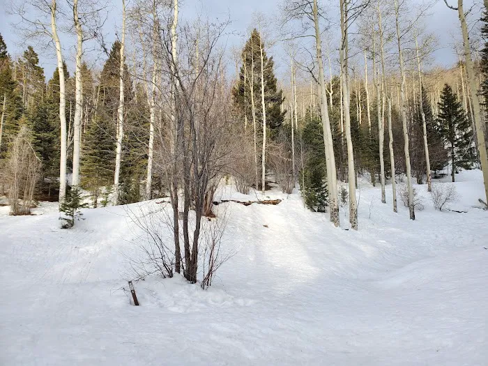 Big Tesuque Campground 9