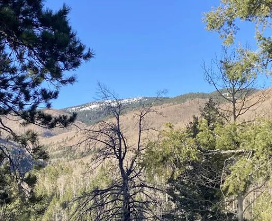 Hyde Memorial State Park RV Campground