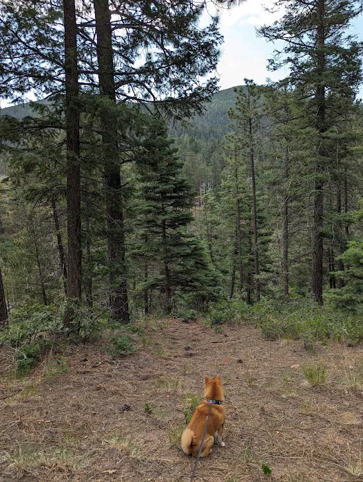 Hyde Memorial State Park RV Campground 8