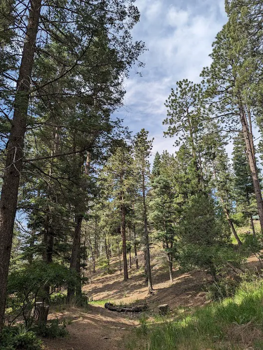 Hyde Memorial State Park RV Campground 6