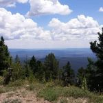 Glorieta Picnic Site (recgovnpsdata)