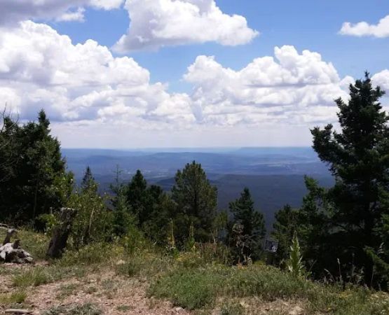Glorieta Picnic Site (recgovnpsdata)