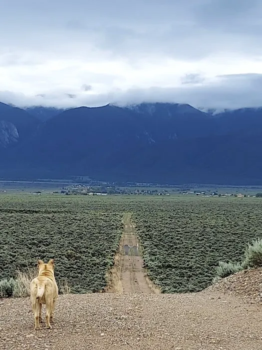 High Coyote Hill 0