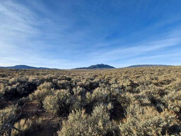 High Coyote Hill 2