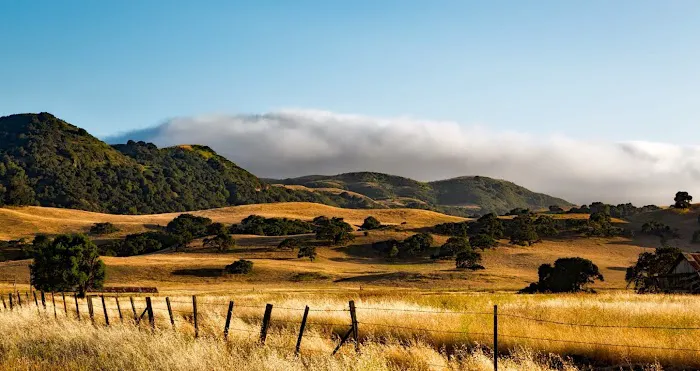 High Coyote Hill 5