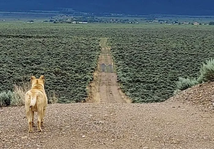 High Coyote Hill 4