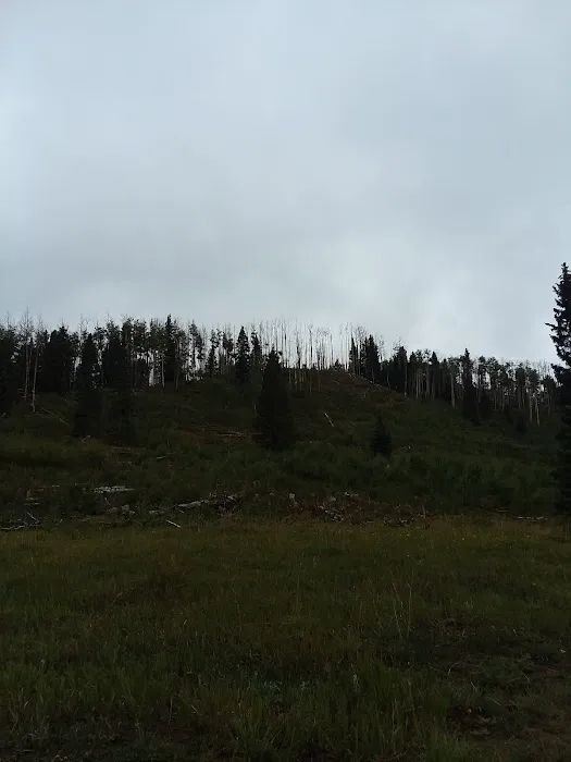 Middle Canjilon Campground 4