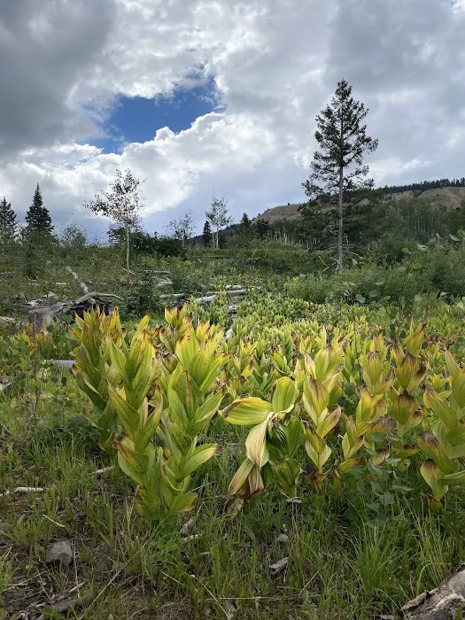 Canjilon Lakes (recgovnpsdata) 0