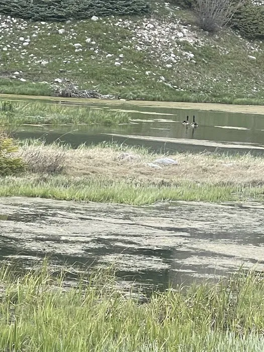 Canjilon Lakes (recgovnpsdata) 5