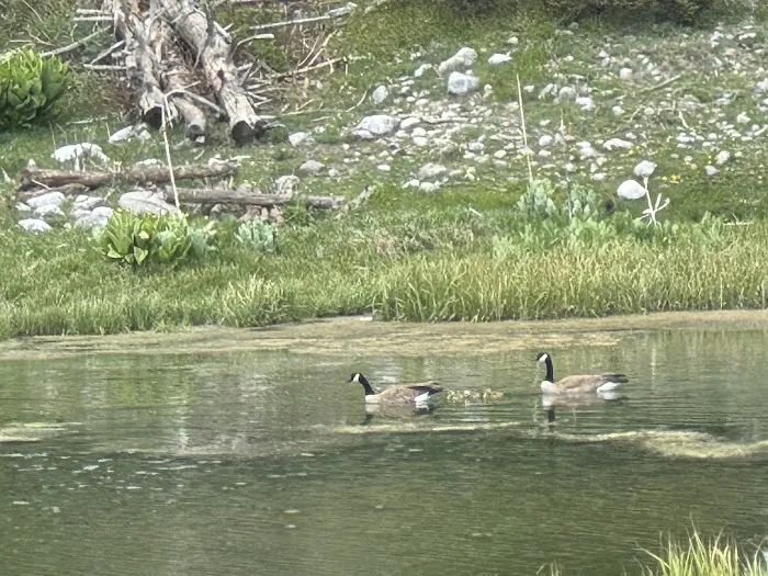 Canjilon Lakes (recgovnpsdata) 3