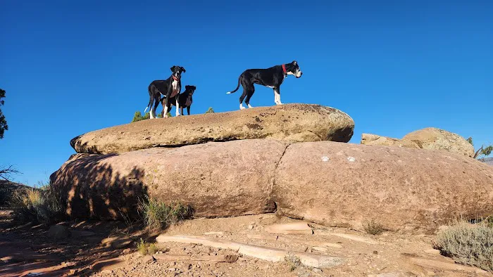 Abiquiu Lake Camp Ground 1