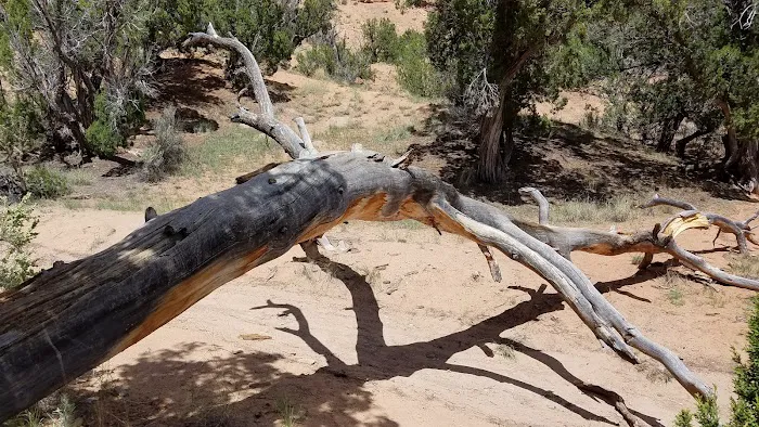 Echo Campground 9