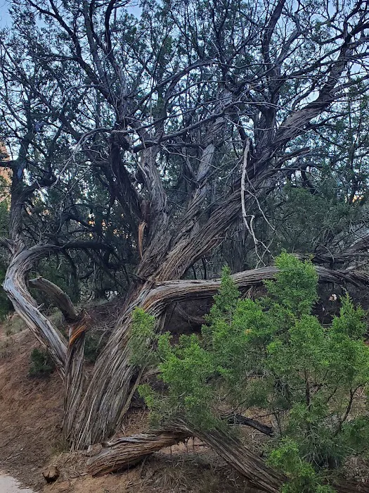 Echo Amphitheater Picnic Site (recgovnpsdata) 3