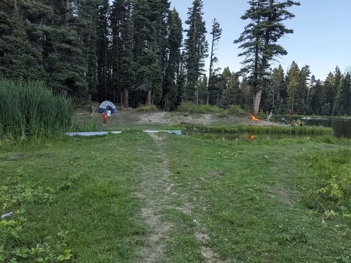 Trout Lakes Campground 4