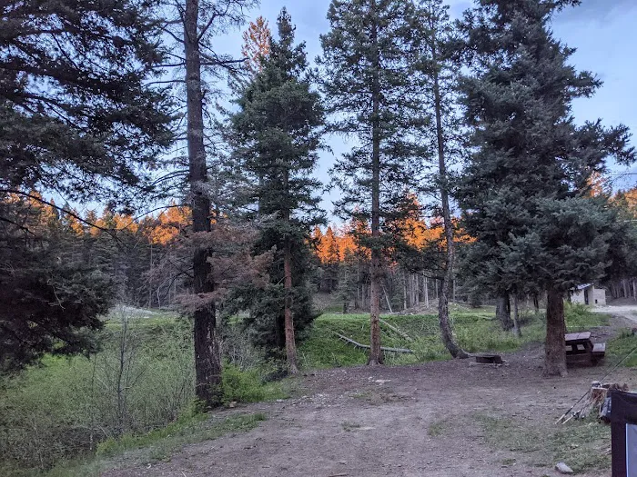 Trout Lakes Campground 7