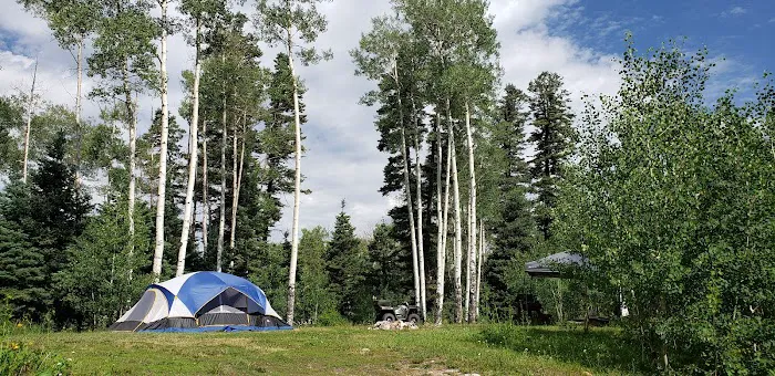 Trout Lakes Campground 2