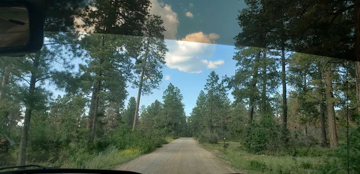 Trout Lakes Campground 1