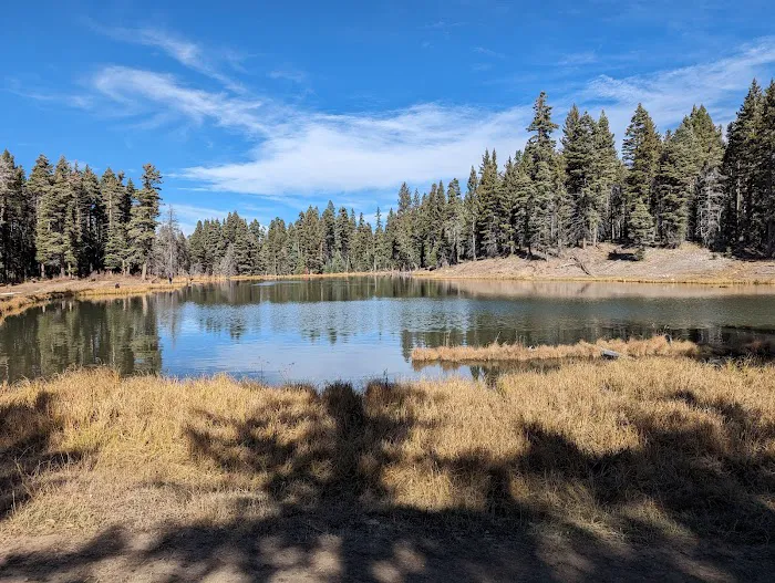 Trout Lakes Campground 8