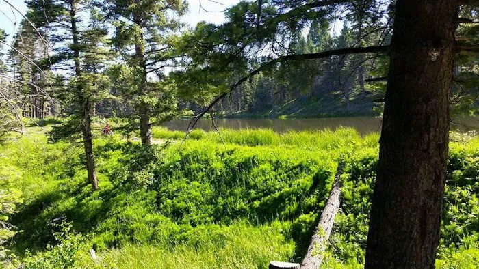 Trout Lakes Campground 0