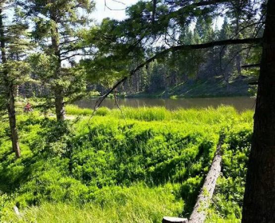Trout Lakes Campground