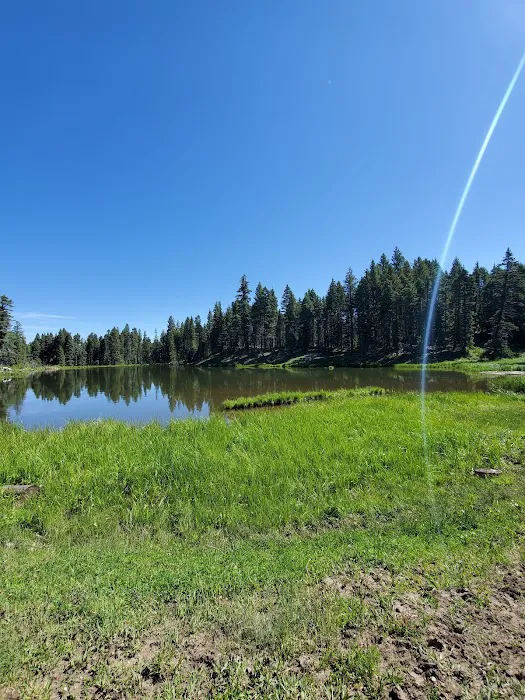 Trout Lakes Campground 9