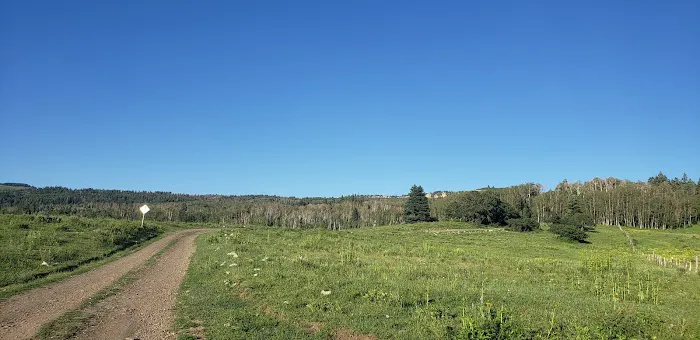 Trout Lakes Campground 3
