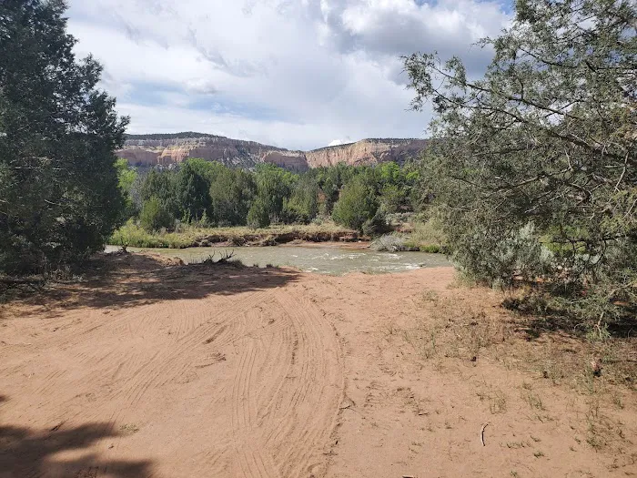 Whirlpool, Dispersed Camping, Coyote Ranger District, Santa Fe National Forest 7