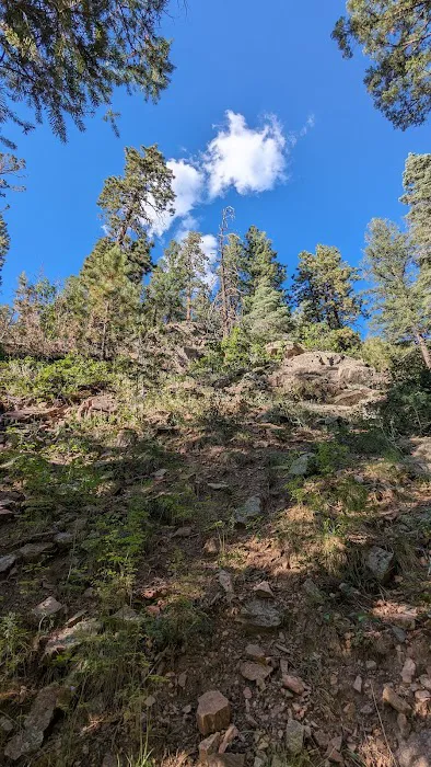 Hyde Memorial State Park Campground 2