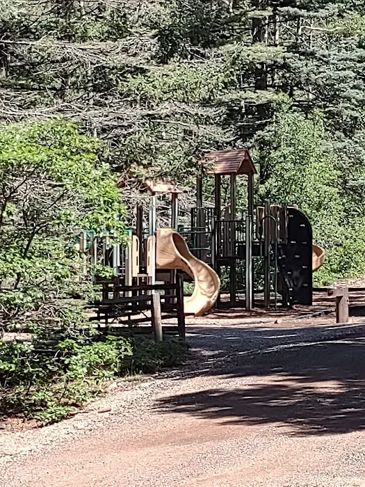 Hyde Memorial State Park Campground 3