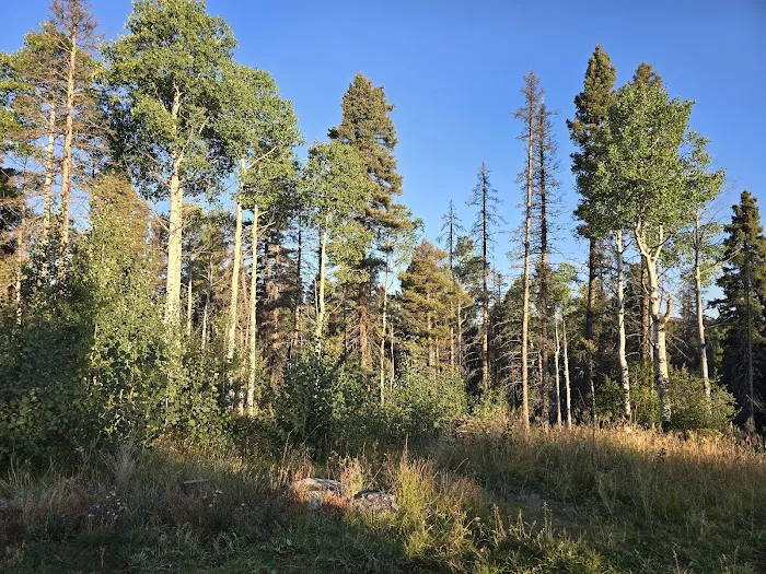HOPEWELL LAKE CAMPGROUND 6
