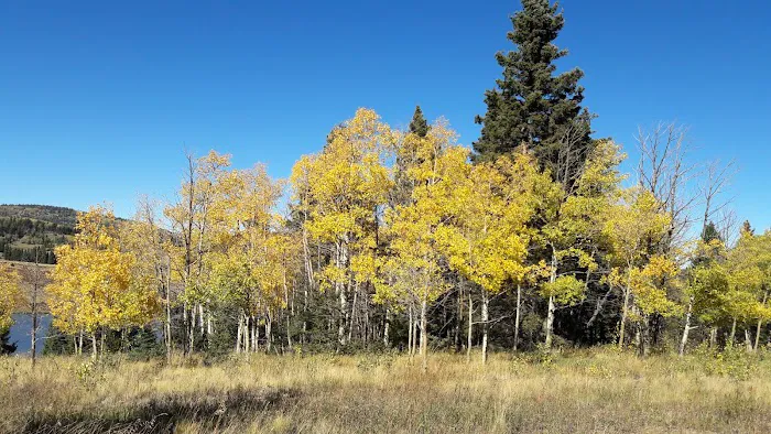 HOPEWELL LAKE CAMPGROUND 7