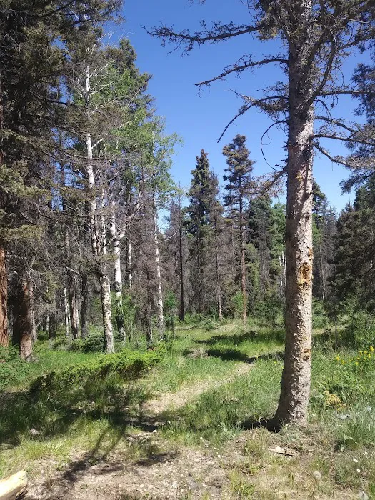 HOPEWELL LAKE CAMPGROUND 9