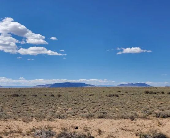 SoCo Acres