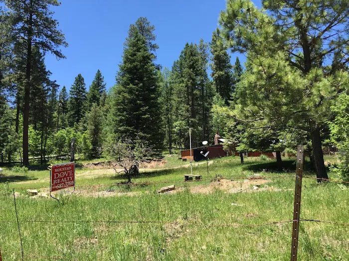 US Forestry Department 2
