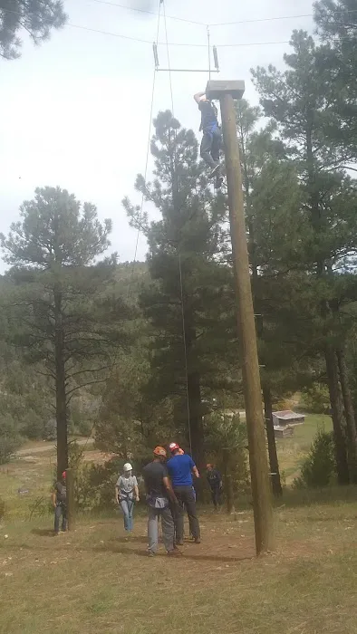 US Forestry Department 1