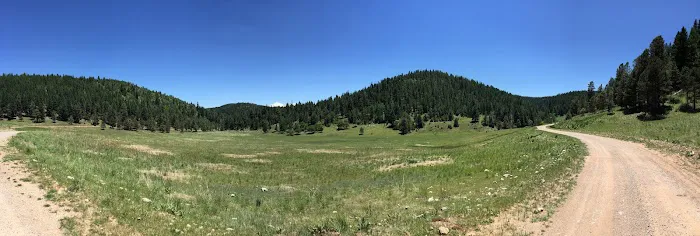 US Forestry Department 4