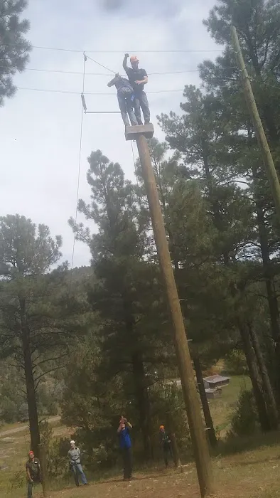 US Forestry Department 5