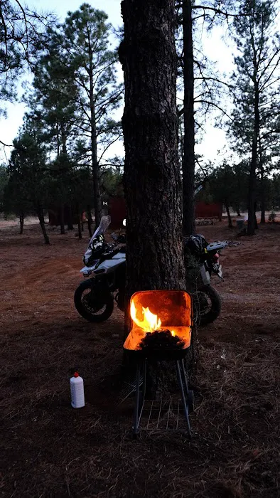 Camp of the Tall Pines 5