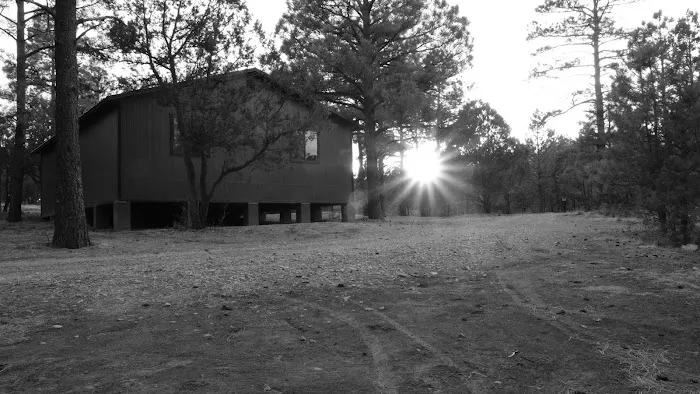 Camp of the Tall Pines 6