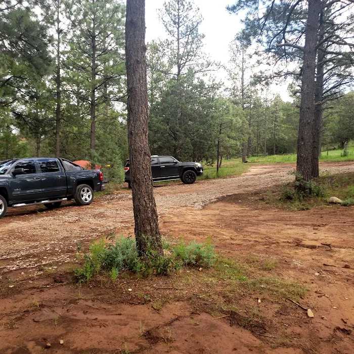 Camp of the Tall Pines 8