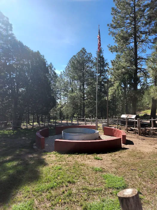 Camp of the Tall Pines 1