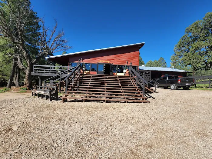 Camp of the Tall Pines 2