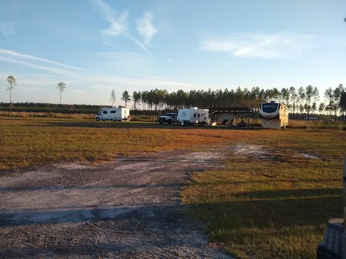 Camp Z 8