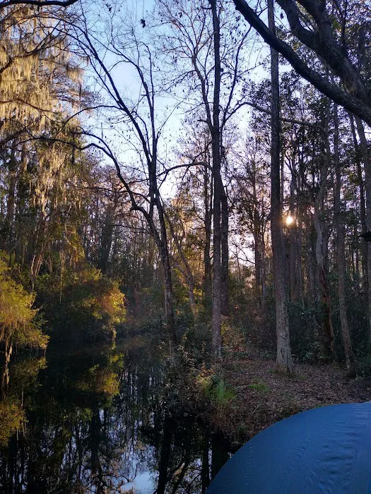 Canal run campsite 10