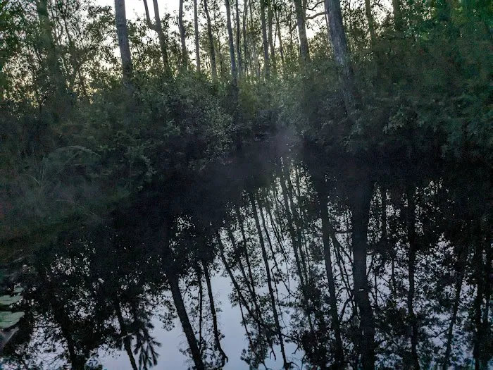 Floyds Island Cabin 7