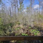 Minnies Lake Canoe Shelter