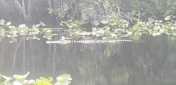 Minnies Lake Canoe Shelter 9